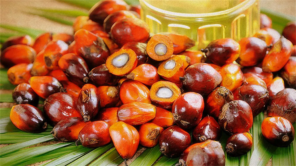 Presse à huile de palme