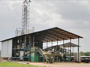 Projet de farine de manioc